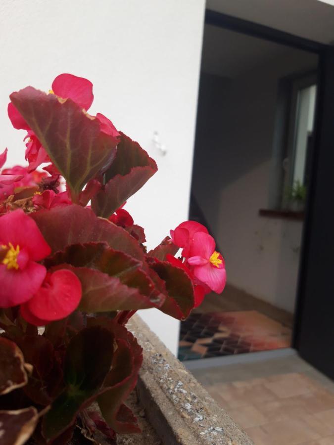 Apartamenty Gusto โอสโตรดา ภายนอก รูปภาพ