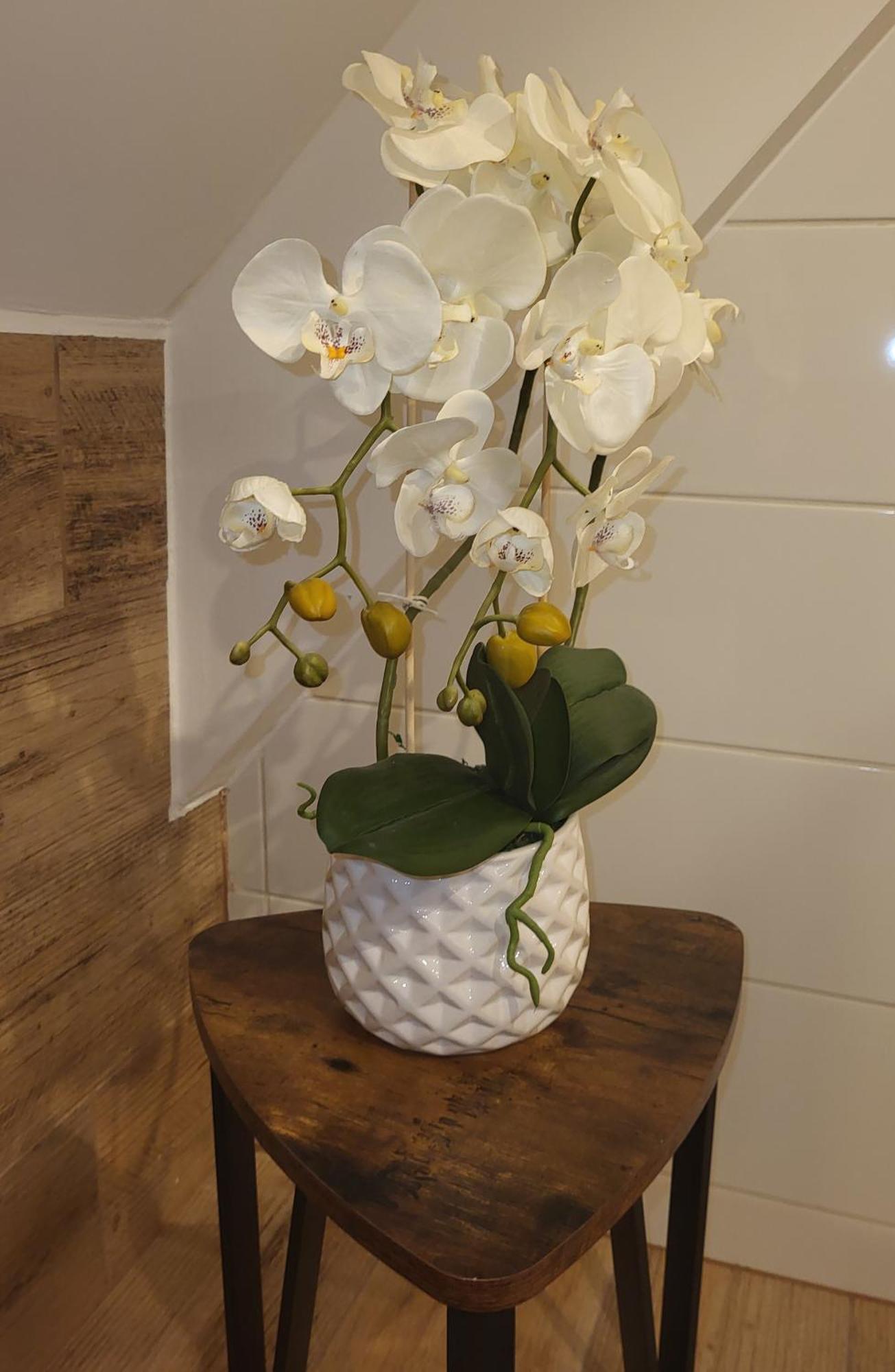 Apartamenty Gusto โอสโตรดา ภายนอก รูปภาพ