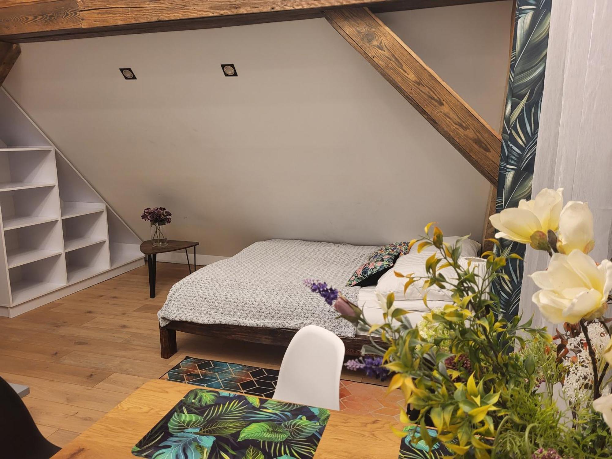 Apartamenty Gusto โอสโตรดา ภายนอก รูปภาพ