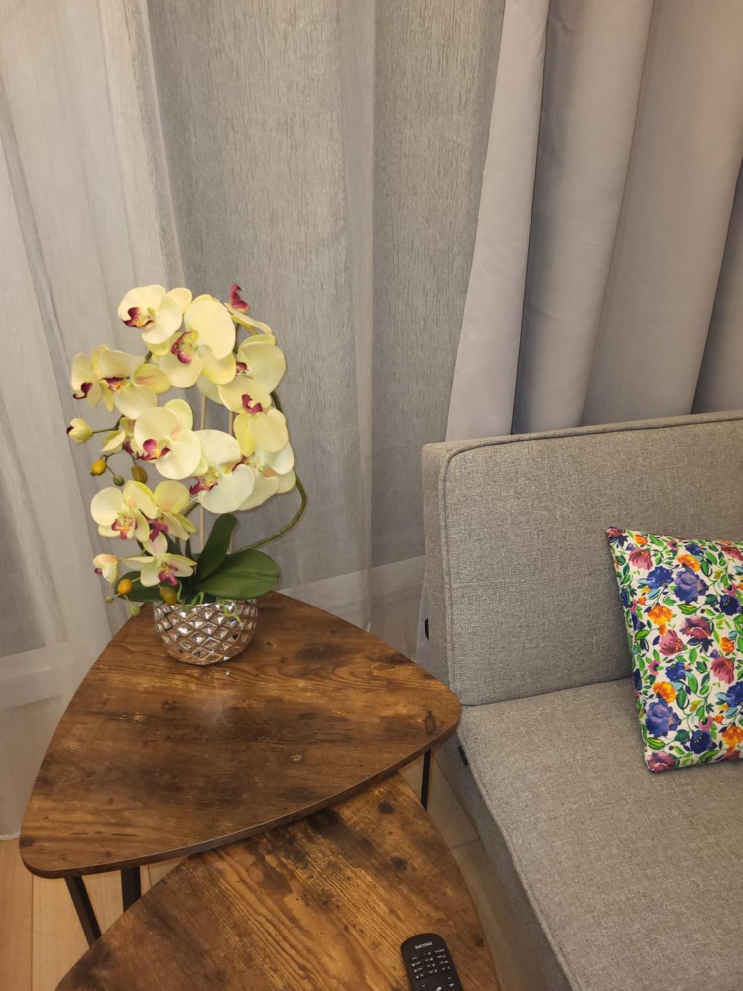 Apartamenty Gusto โอสโตรดา ภายนอก รูปภาพ